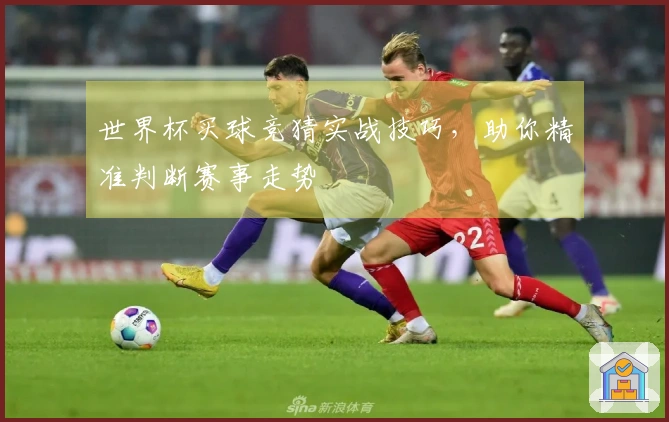 世界杯买球竞猜实战技巧，助你精准判断赛事走势
