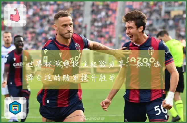 世界杯滚球投注经验分享：如何选择合适的赔率提升胜率