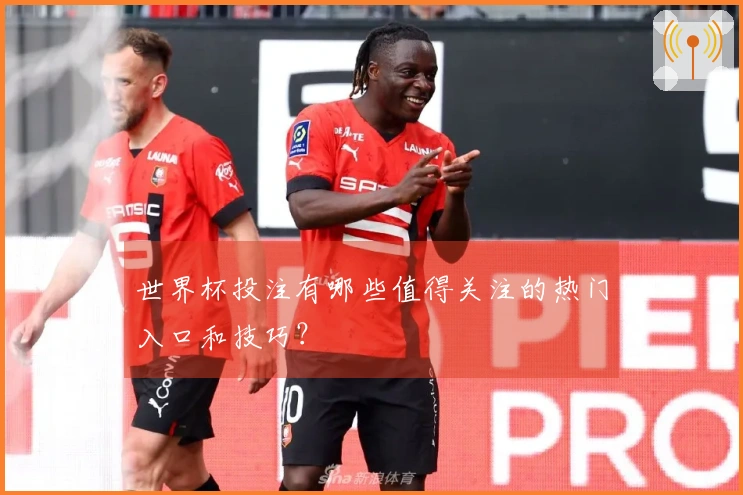 世界杯投注有哪些值得关注的热门入口和技巧？