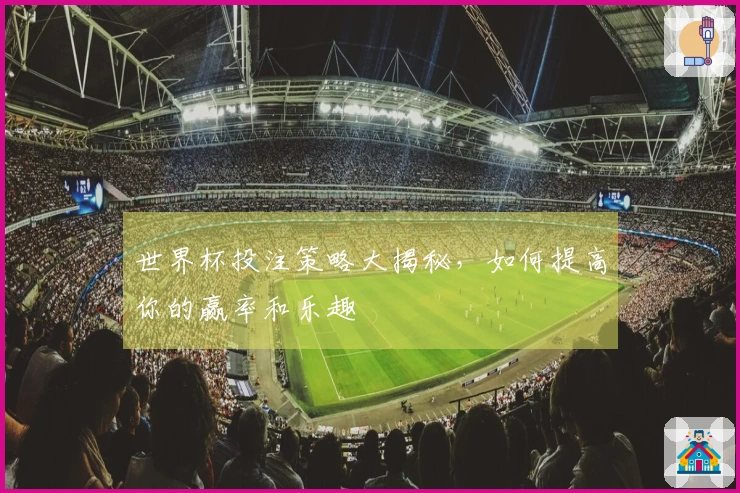 世界杯投注策略大揭秘，如何提高你的赢率和乐趣