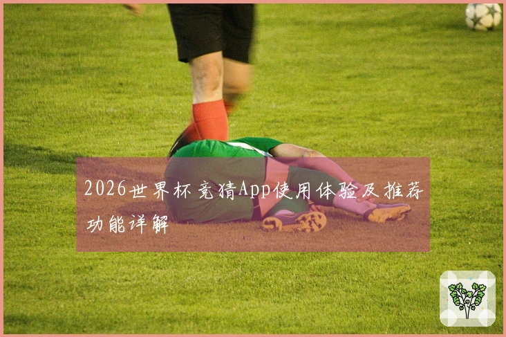 2026世界杯竞猜App使用体验及推荐功能详解