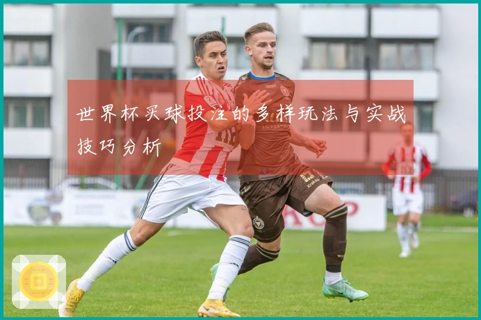 世界杯买球投注的多样玩法与实战技巧分析