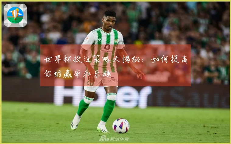 世界杯投注策略大揭秘，如何提高你的赢率和乐趣