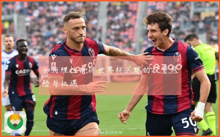 如何理性看待世界杯买球的投资风险与机遇