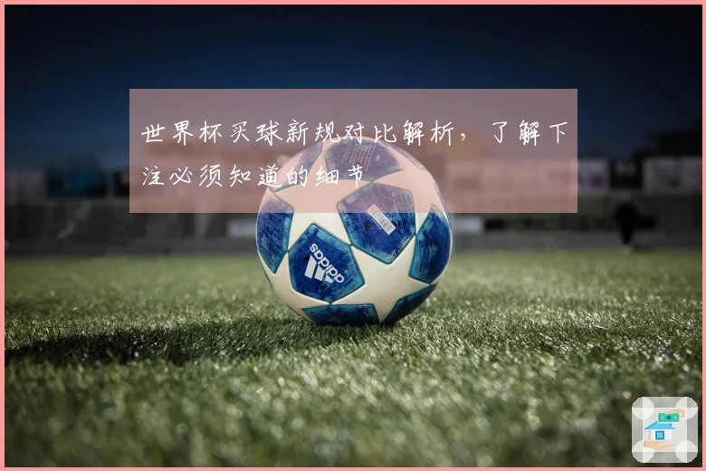 世界杯买球新规对比解析，了解下注必须知道的细节