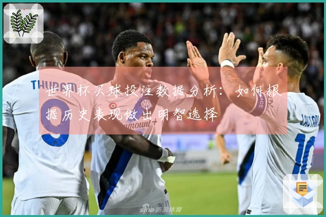 世界杯买球投注数据分析：如何根据历史表现做出明智选择