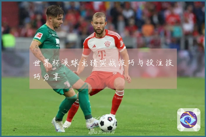 世界杯滚球竞猜实战技巧与投注技巧分享