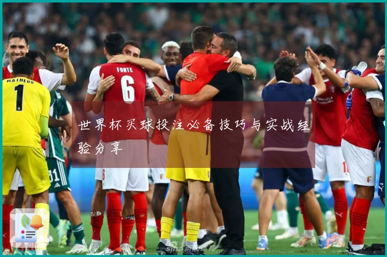 世界杯买球投注必备技巧与实战经验分享