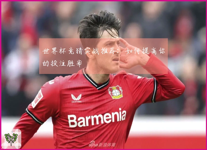 世界杯竞猜实战推荐：如何提高你的投注胜率