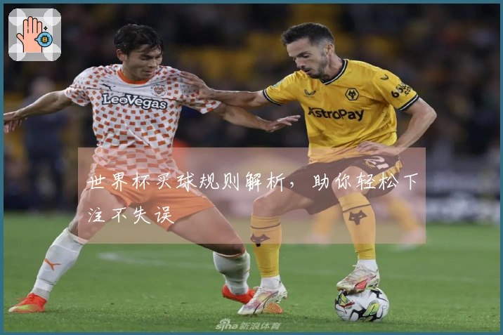 世界杯买球规则解析,助你轻松下注不失误