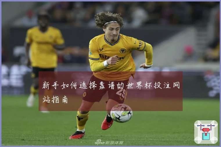 新手如何选择靠谱的世界杯投注网站指南