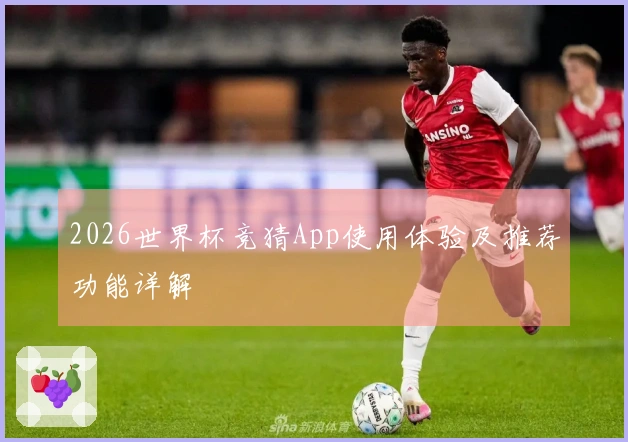 2026世界杯竞猜App使用体验及推荐功能详解