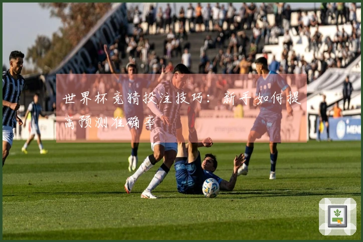 世界杯竞猜投注技巧：新手如何提高预测准确率