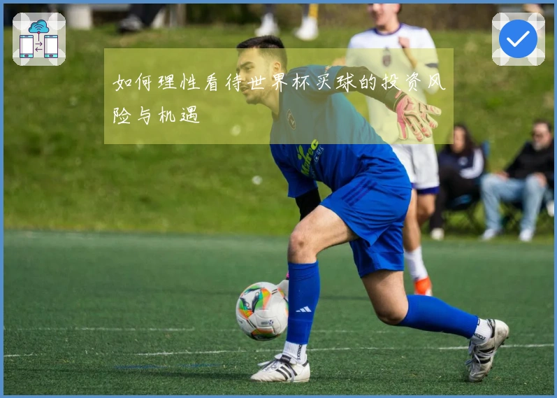 如何理性看待世界杯买球的投资风险与机遇