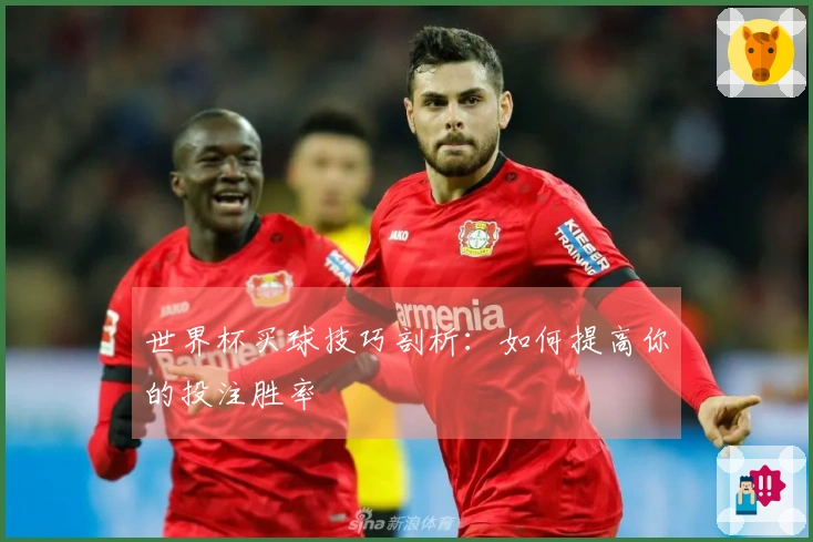 世界杯买球技巧剖析:如何提高你的投注胜率
