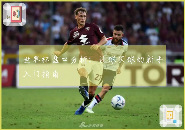 世界杯盘口分析：让球买球的新手入门指南