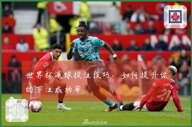 世界杯滚球投注技巧，如何提升你的下注成功率