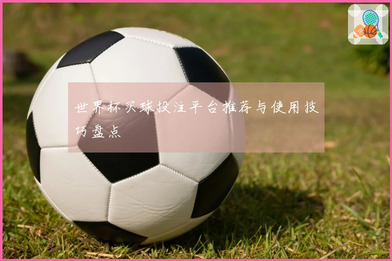 世界杯买球投注平台推荐与使用技巧盘点