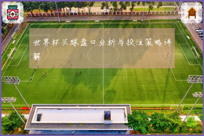 世界杯买球盘口分析与投注策略详解
