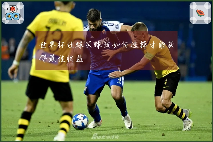 世界杯让球买球该如何选择才能获得最佳收益