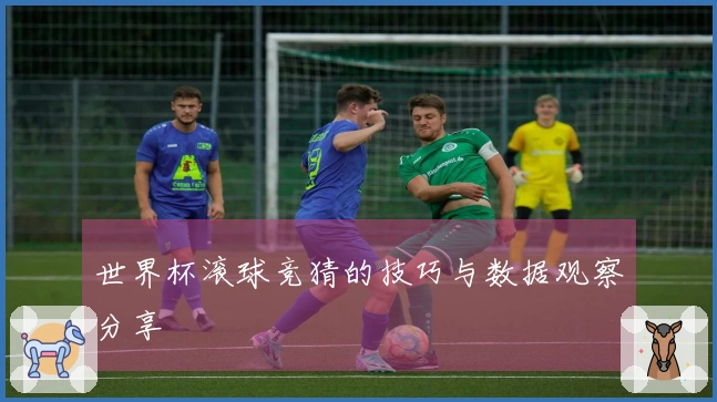 世界杯滚球竞猜的技巧与数据观察分享