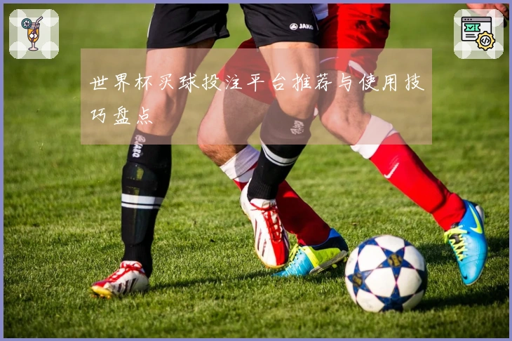 世界杯买球投注平台推荐与使用技巧盘点