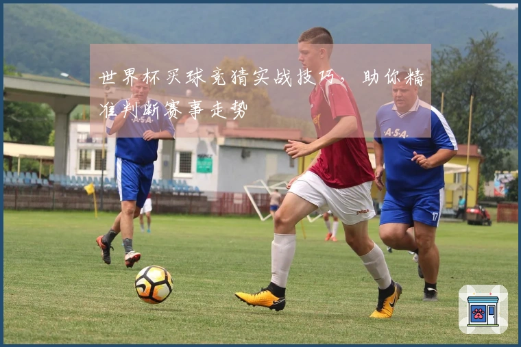 世界杯买球竞猜实战技巧，助你精准判断赛事走势