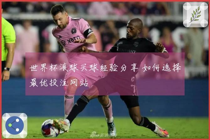 世界杯滚球买球经验分享 如何选择最优投注网站